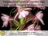 Propagazione in vitro di orchidee degli ambienti di risorgiva del medio Friuli. UNIVERSITÀ DEGLI STUDI DI MODENA E REGGIO EMILIA