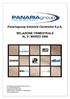 Panariagroup Industrie Ceramiche S.p.A. RELAZIONE TRIMESTRALE AL 31 MARZO 2008