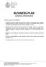 BUSINESS PLAN VERSIONE APPROFONDITA