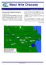 West Nile Disease. Situazione epidemiologica. N settembre 2008 ore 18:00