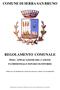 COMUNE DI SERRA SAN BRUNO