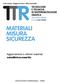TTRTECNOLOGIE MATERIALI MISURA SICUREZZA E TECNICHE DI RAPPRESENTAZIONE GRAFICA. Aggiornamenti e ulteriori materiali seieditrice.