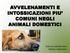 AVVELENAMENTI E INTOSSICAZIONI PIU COMUNI NEGLI ANIMALI DOMESTICI. Dott.ssa Carlotta Vizio Medico veterinario