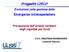 Progetto CIELO. Emergenze Intraospedaliere. Evoluzione nella gestione delle. Prevenzione dell arresto cardiaco negli ospedali per Acuti