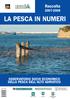 LA PESCA IN NUMERI. Raccolta OSSERVATORIO SOCIO ECONOMICO DELLA PESCA DELL ALTO ADRIATICO