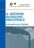 la GESTIONE del RISCHIO INDUSTRIALE