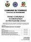 COMUNE DI TORRICE Provincia di FROSINONE