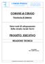 COMUNE di CERASO PROGETTO ESECUTIVO