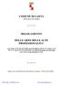 COMUNE DI GAETA (Provincia di Latina) REGOLAMENTO DELLE AREE DELLE ALTE PROFESSIONALITA