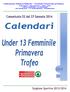 Federazione Italiana Pallavolo Comitato Provinciale di Padova Stadio Euganeo Viale Nereo Rocco Padova Telefono Fax 049.