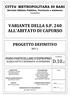 CITTA' METROPOLITANA DI BARI SERVIZIO EDILIZIA PUBBLICA, TERRITORIO E AMBIENTE SEZ. VIABILITA'