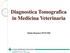 Diagnostica Tomografica in Medicina Veterinaria. Simone Borgonovo DVM, PhD