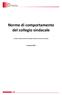 Norme di comportamento del collegio sindacale. Principi di comportamento del collegio sindacale di società non quotate