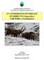 13 CENSIMENTO INVERNALE STAMBECCO (Capra ibex) Valli Pellice e Germanasca