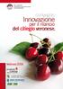 Innovazione. convegno. per il rilancio del ciliegio veronese. febbraio 2008 SOC. COOP. AGR. CONSORZIO ORTOFRUTTICOLO COLLINE VERONESI