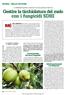 Gestire la ticchiolatura del melo con i fungicidi SDHI