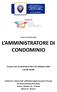 L AMMINISTRATORE DI CONDOMINIO