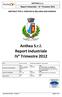 Anthea S.r.l. Report Industriale IV Trimestre 2012