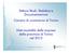 Settore Studi, Statistica e Documentazione Camera di commercio di Torino. Nati-mortalità delle imprese della provincia di Torino nel 2013