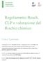 Regolamento Reach, CLP e valutazione del Rischio chimico