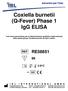 Coxiella burnetii (Q-Fever) Phase 1 IgG ELISA