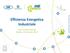 Efficienza Energetica Industriale
