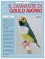 IL DIAMANTE DI GOULD AVORIO