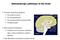 Glutamatergic pathways in the brain