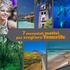 7 essenziali motivi per scegliere Tenerife