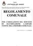 REGOLAMENTO COMUNALE