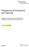 Programma di formazione per l azienda. Assistente di manutenzione per automobili CFP