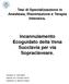 Tesi di Specializzazione in Anestesia, Rianimazione e Terapia Intensiva. Incannulamento Ecoguidato della Vena Succlavia per via Sopraclaveare.