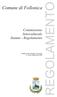 REGOLAMENTO. Comune di Follonica. Commissione Interculturale Statuto - Regolamento. Delibera del Consiglio Comunale n. 22 del 28 gennaio 2008