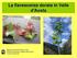 La flavescenza dorata in Valle d Aosta. Regione Autonoma Valle d Aosta Direzione produzioni vegetali agriturismo e servizi fitosanitari