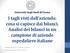 I tagli visti dall azienda: cosa si capisce dai bilanci. Analisi dei bilanci in un campione di aziende ospedaliere italiane