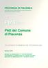 PIAE 2011 RELAZIONE DI COMPATIBILITÀ IDRAULICA