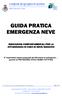 GUIDA PRATICA EMERGENZA NEVE