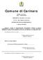 Comune di Carinaro. SERVIZIO : Area Tecnica Ufficio : UFFICIO TECNICO PROPOSTA N. 303 DEL N. 619 Rep.