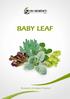 baby leaf Research & Italian Passion