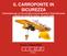 IL CARROPONTE IN SICUREZZA Informazioni per un uso corretto e sicuro secondo il Testo Sicurezza e Salute sui luoghi di Lavoro - D.