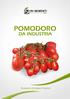 POMODORO DA INDUSTRIA