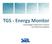 TGS - Energy Monitor. monitoraggio produzione e consumi per efficienza energetica