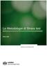 Contents. Le Metodologie di Stress test. Manuale