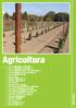 Agricoltura. Agricoltura TRIZINC PALO DI TESTA A T PALO INTERMEDIO AD Y AGRICORD ZINC 1,5