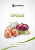 CIPOLLE. Research & Italian Passion