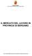 IL MERCATO DEL LAVORO IN PROVINCIA DI BERGAMO