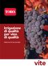 Irrigazione di qualità per vino di qualità. Assicura la tua annata. vite