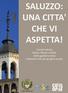 SALUZZO: UNA CITTA' CHE VI ASPETTA! Il centro storico Palazzi, Musei e Chiese Visite guidate a tema Indicazioni utili per gruppi e scuole