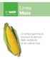 Linea Mais. Un ampia gamma di soluzioni al servizio della redditività di chi coltiva mais