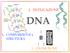 2. DUPLICAZIONE DNA. 1. COMPOSIZIONE e STRUTTURA 3. CROMOSOMI